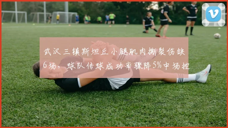 武汉三镇斯坦丘小腿肌肉撕裂伤缺6场，球队传球成功率骤降5%中场控制力告急